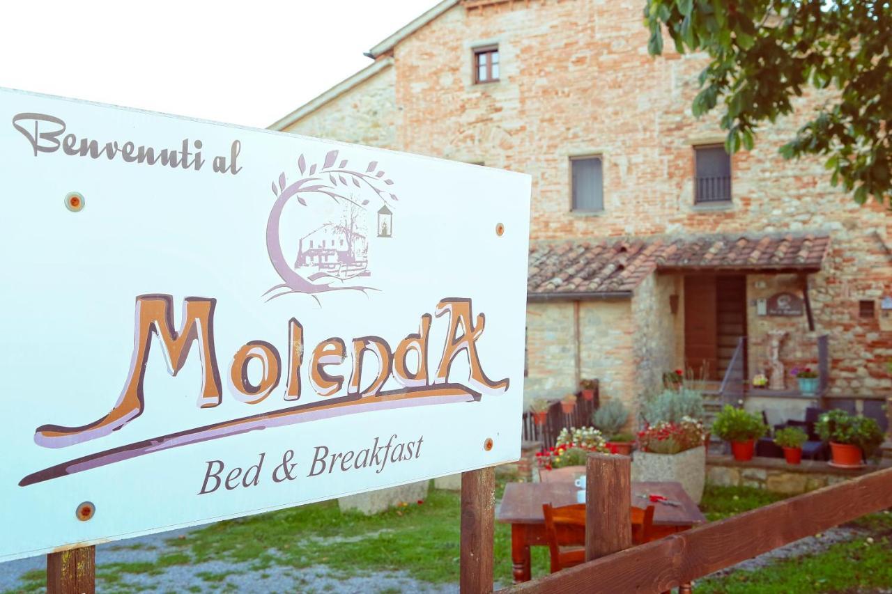 Molenda B&B Città di Castello Eksteriør billede