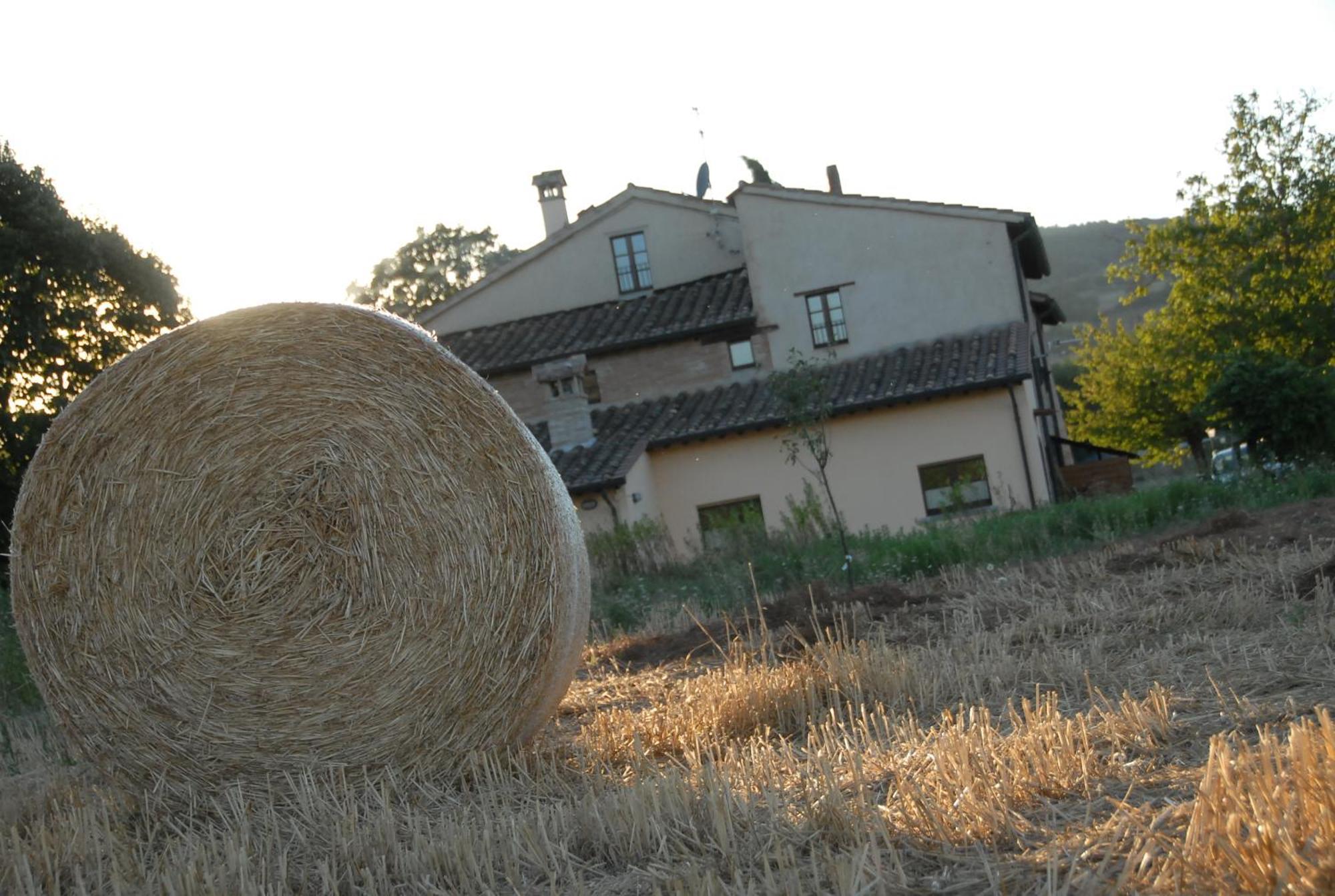 Molenda B&B Città di Castello Eksteriør billede